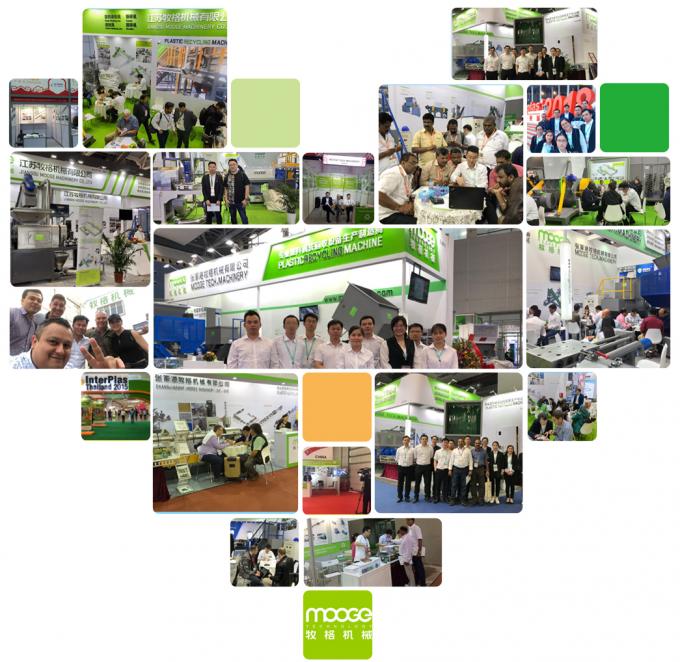 PET Bottle Flake Cleaning and Recycling Line for Small Business 6-10 Person 24